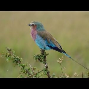 Meet your Posher, Wendy